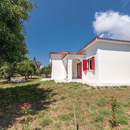 Lenna'S Villas Zante Vasilikí Buitenkant foto