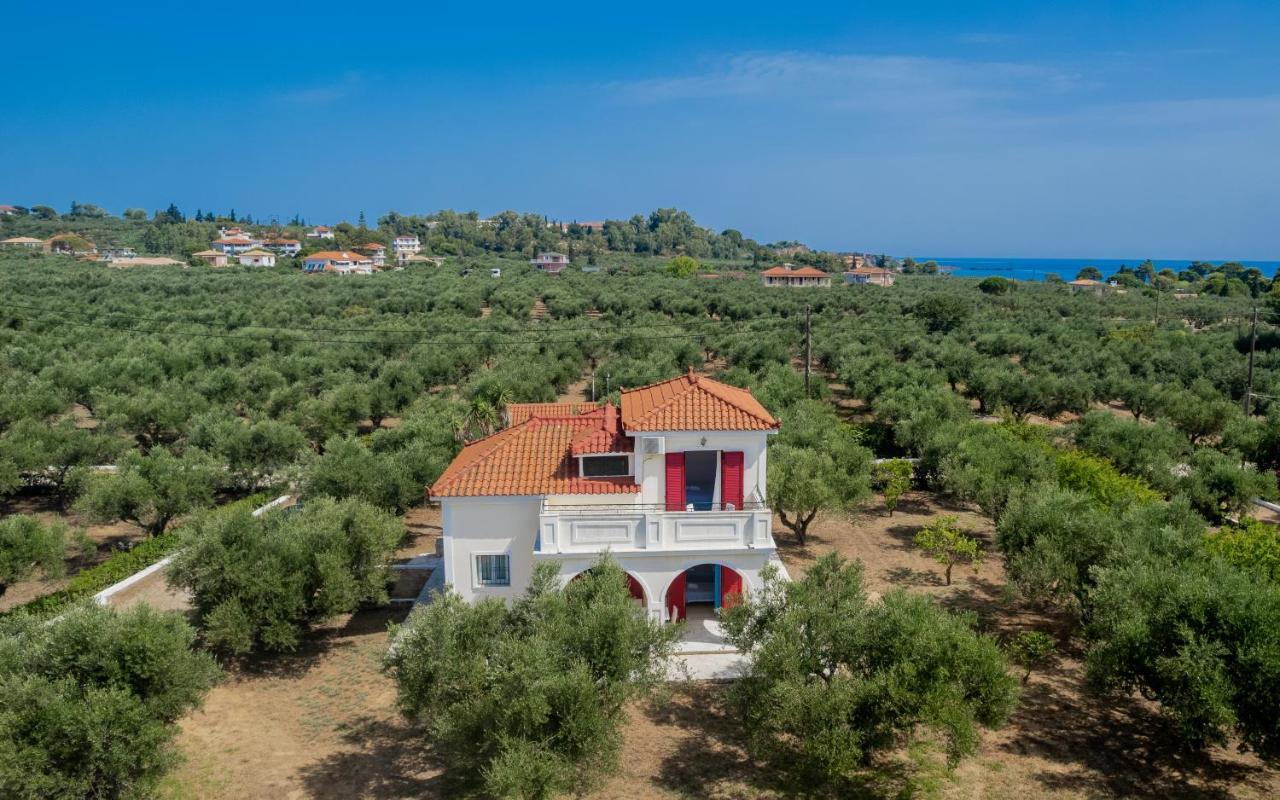 Lenna'S Villas Zante Vasilikí Buitenkant foto